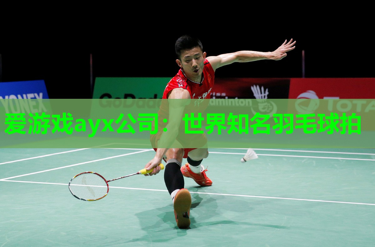 世界知名羽毛球拍