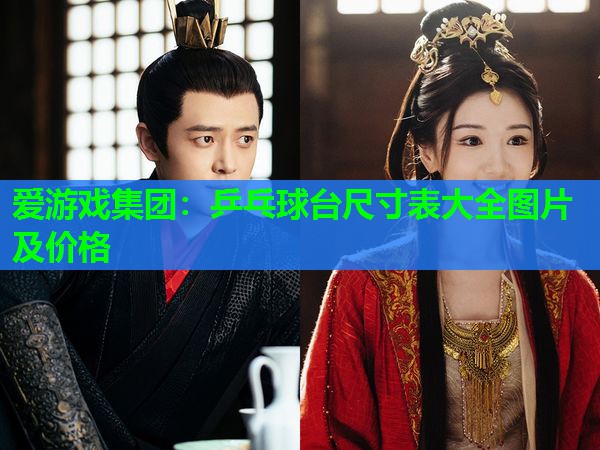 乒乓球台尺寸表大全图片及价格