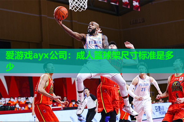成人篮球架尺寸标准是多少