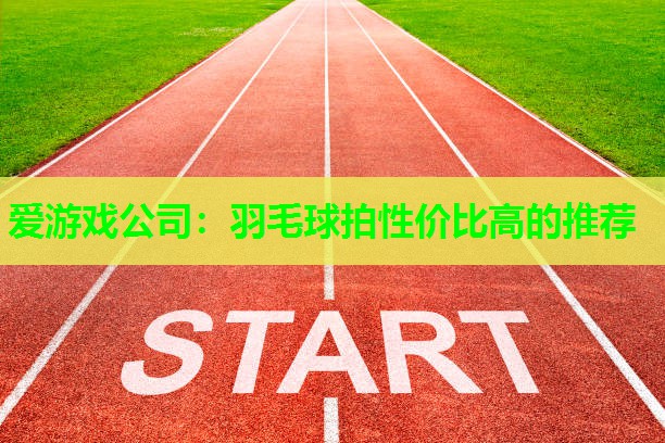 羽毛球拍性价比高的推荐