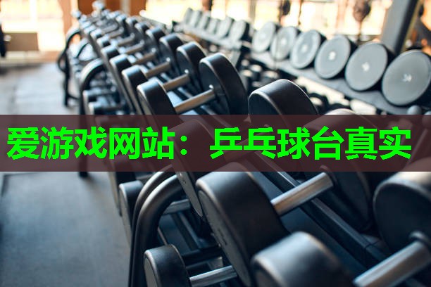 乒乓球台真实