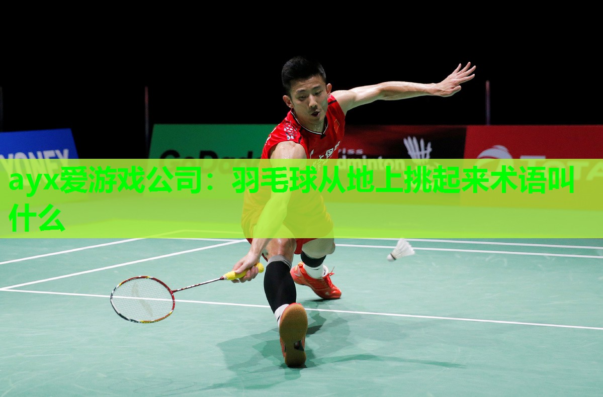 羽毛球从地上挑起来术语叫什么