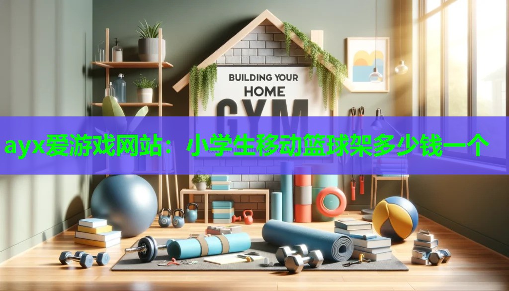 小学生移动篮球架多少钱一个