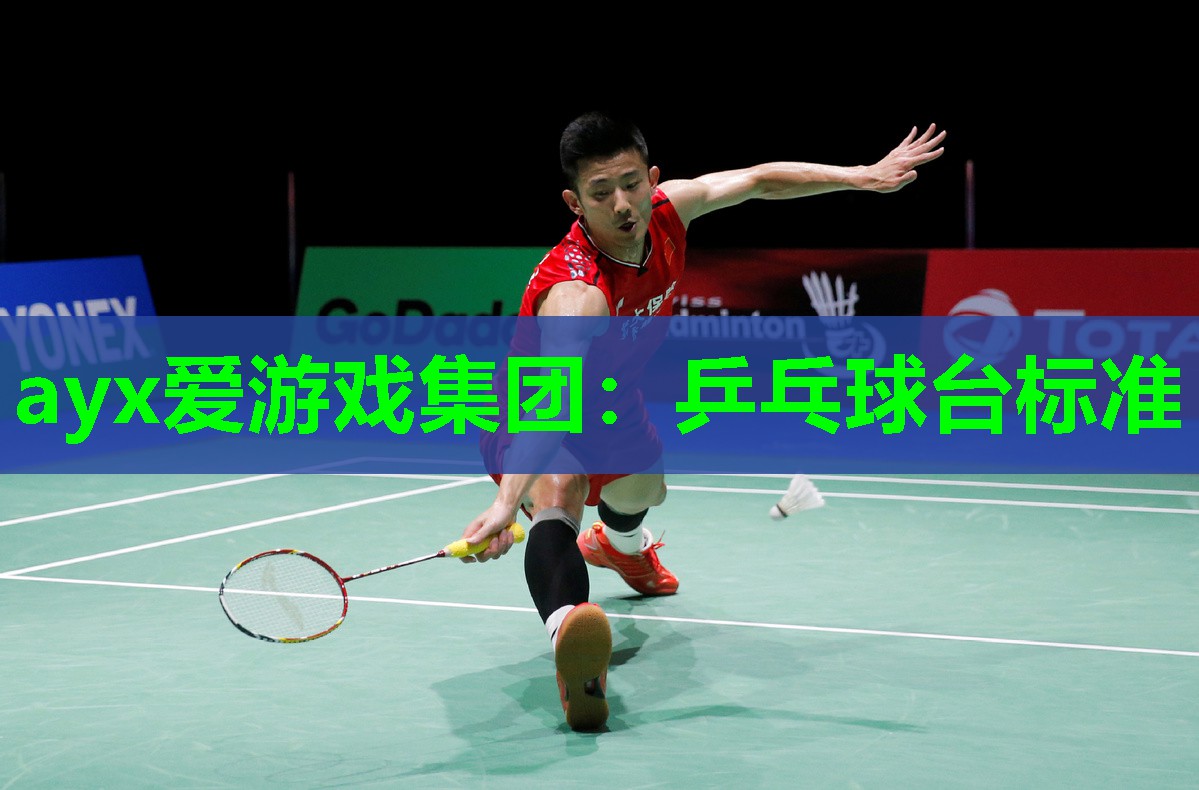 乒乓球台标准