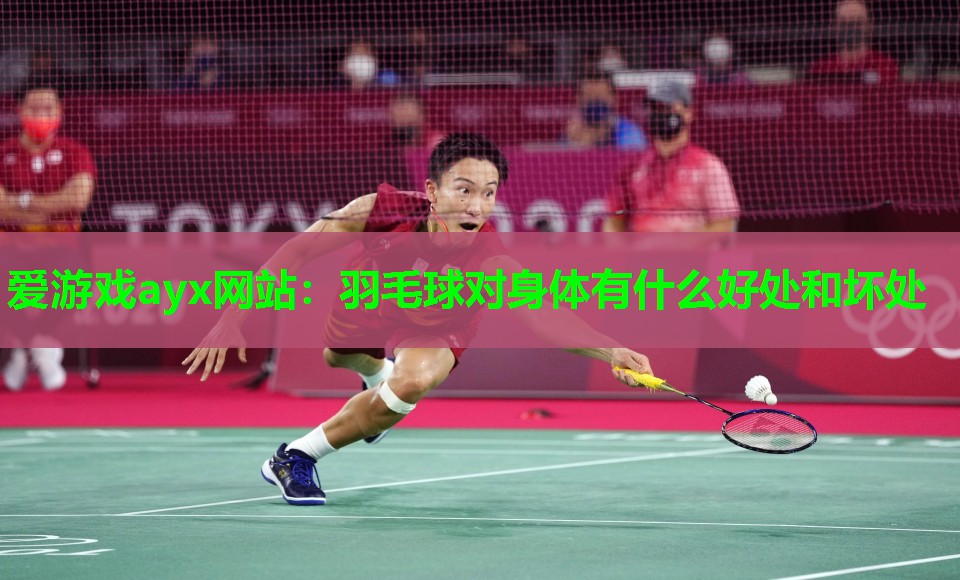 羽毛球对身体有什么好处和坏处