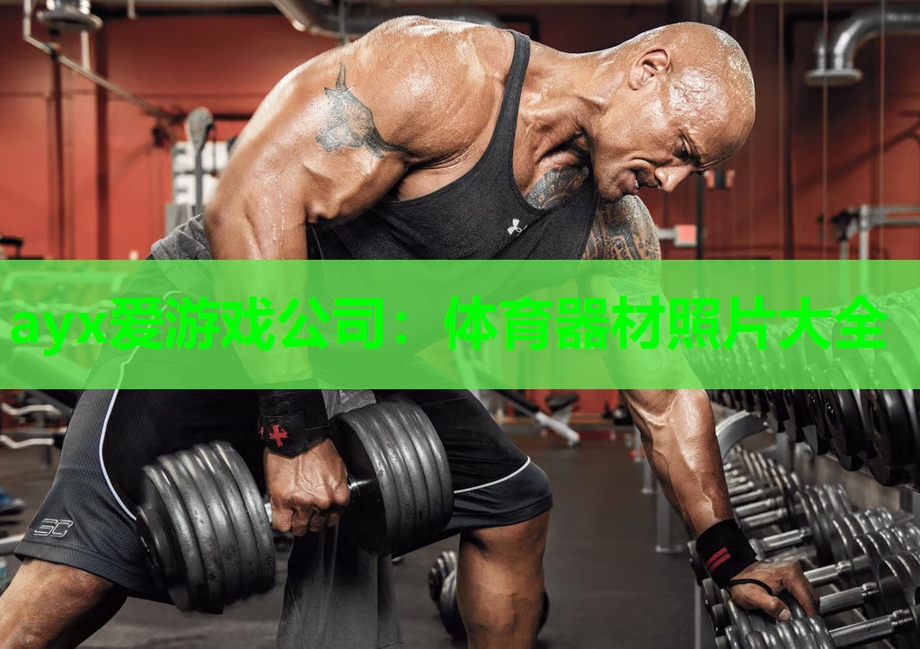 体育器材照片大全