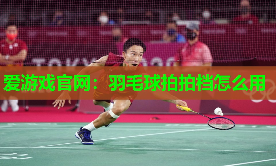 羽毛球拍拍档怎么用