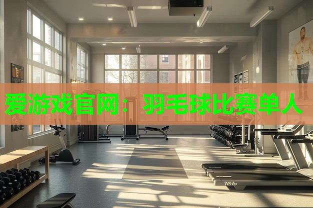 羽毛球比赛单人