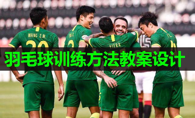羽毛球训练方法教案设计