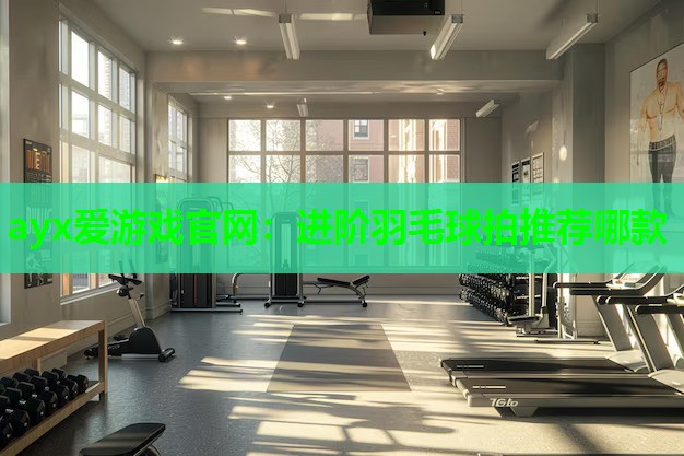 进阶羽毛球拍推荐哪款